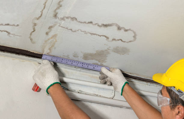 Reliable Mold Remediation contractor in East Taunton, MA by Water Damage Irwin